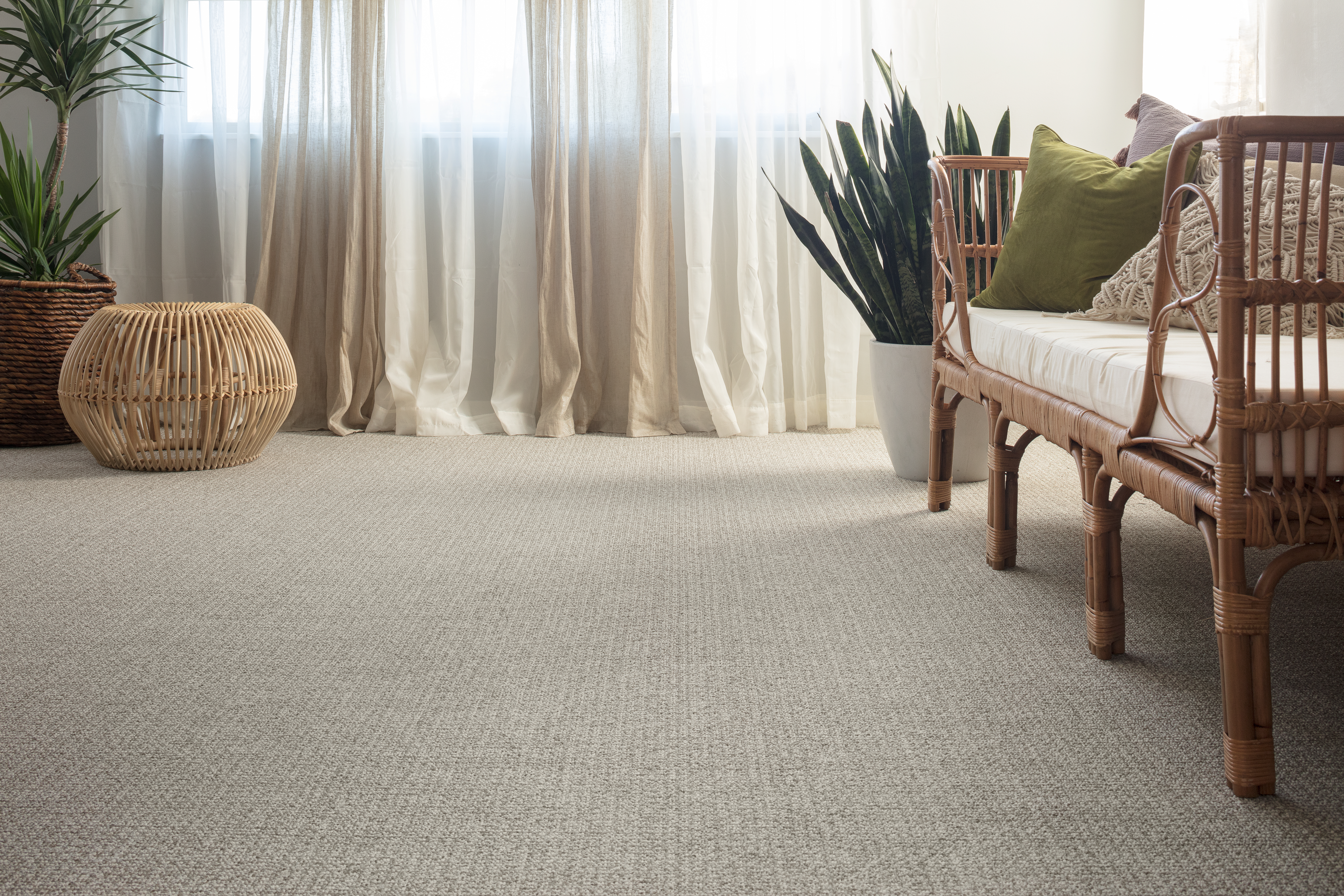 bmd-flooring-carpet